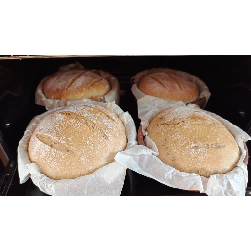 Pan de Masa Madre