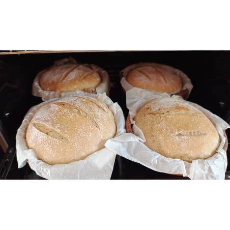 Pan de Masa Madre